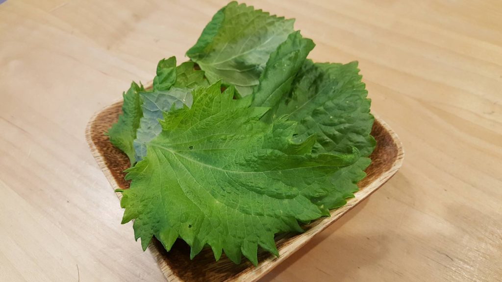 大葉が食べ頃に育ちました 埼玉県ふじみ野市 不動産売買 田村ハウジング 株式会社 大葉が食べ頃に育ちました 埼玉県ふじみ野市 不動産売買 田村ハウジング 株式会社
