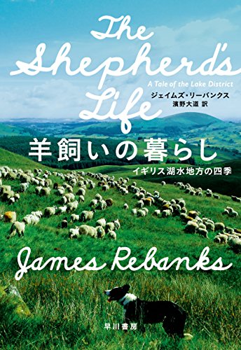 羊飼いの暮らし